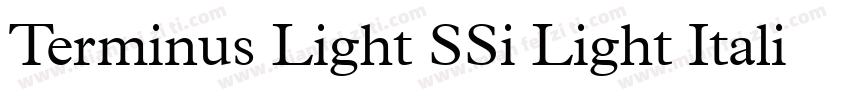 Terminus Light SSi Light Italic字体转换